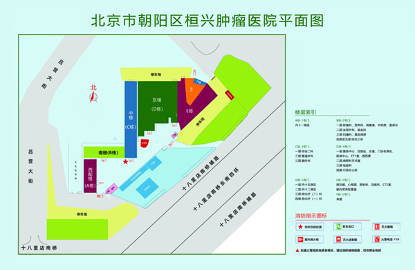 高清骚屄北京市朝阳区桓兴肿瘤医院平面图